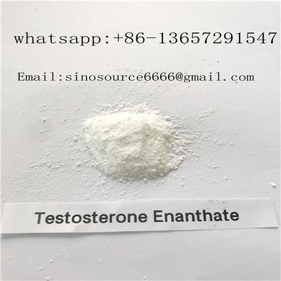 Legal Anabolic Steroids Muscle Building Testosterone Enanthate Steroid Hormone CAS 315-37-7
