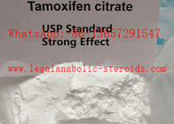 Muscle Mass Anabolic Anti Estrogen Steroid 54965-24-1 Tamoxifen Citrate Powder