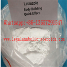 Bodybuilding Letrozole Powder 112809-51-5 Legal Anabolic Steroids