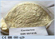 Fat Burning 99% Cardarine Sarm , White Raw Powder Cardarine GW 501516 For Weight Loss