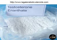 Effective Muscle Building test Enanthate Test e 315-37-7 Hormone for Bodybuilding