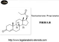 Androgenic Steroids Powder Testosterone Propionate Injectable Test Prop 57-85-2