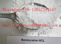 Local Anesthetic Benzocaine Hydrochloride Benzocaine HCL CAS 23239 88 5 For Anti - Paining Pain Relief