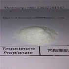 Androgenic Steroids Powder Testosterone Propionate Injectable Test Prop 57-85-2
