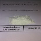 Nandrolone Undecylate Legal Muscle Building Steroids 862-89-5 USP KOSHER Standard