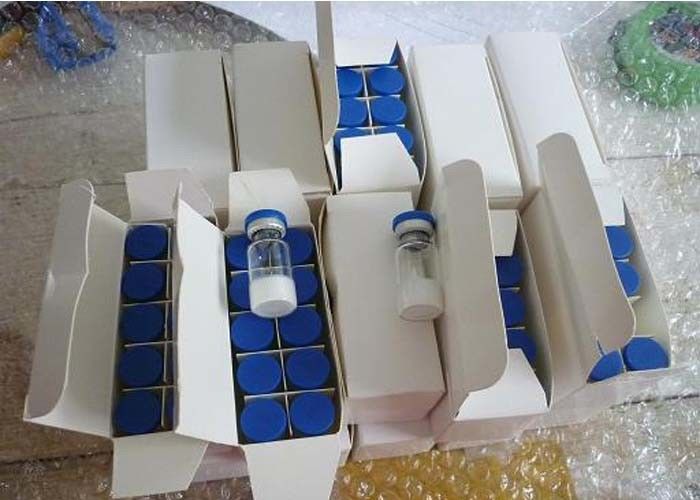 Fat Burning Growth Hormone Peptides HGH Frament 176-191 CAS221231-10-3 For Muscle Mass AOD-9604